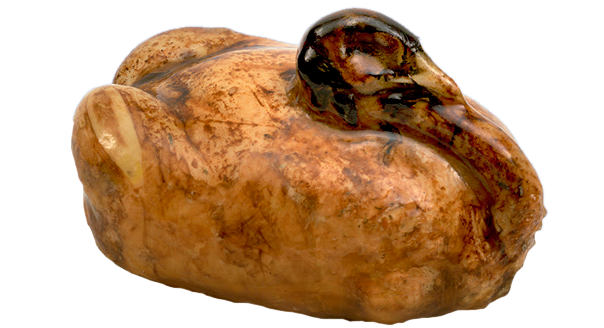 Pheasant stuffed with foie gras